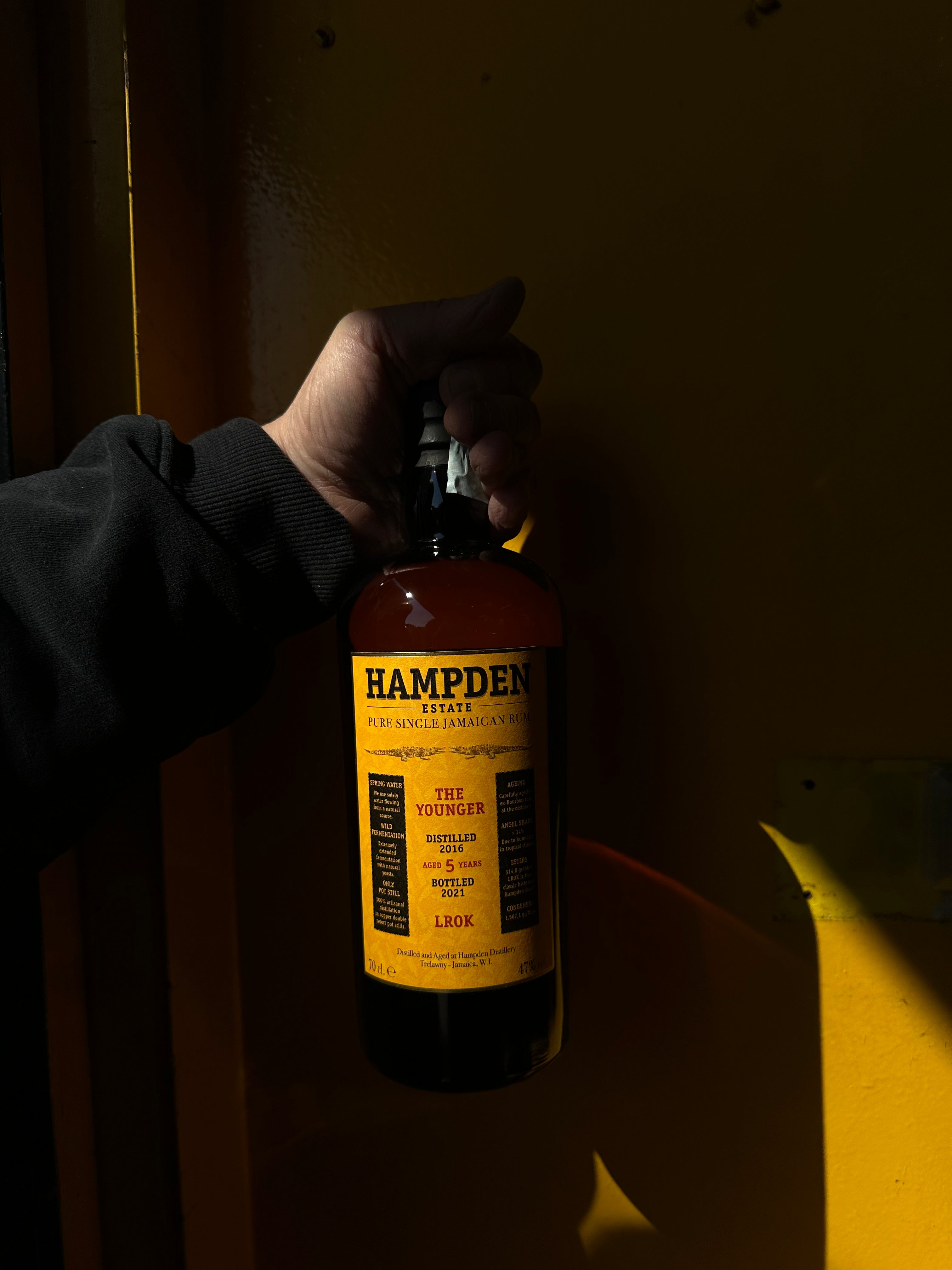 Rum e distillati di canna da zucchero