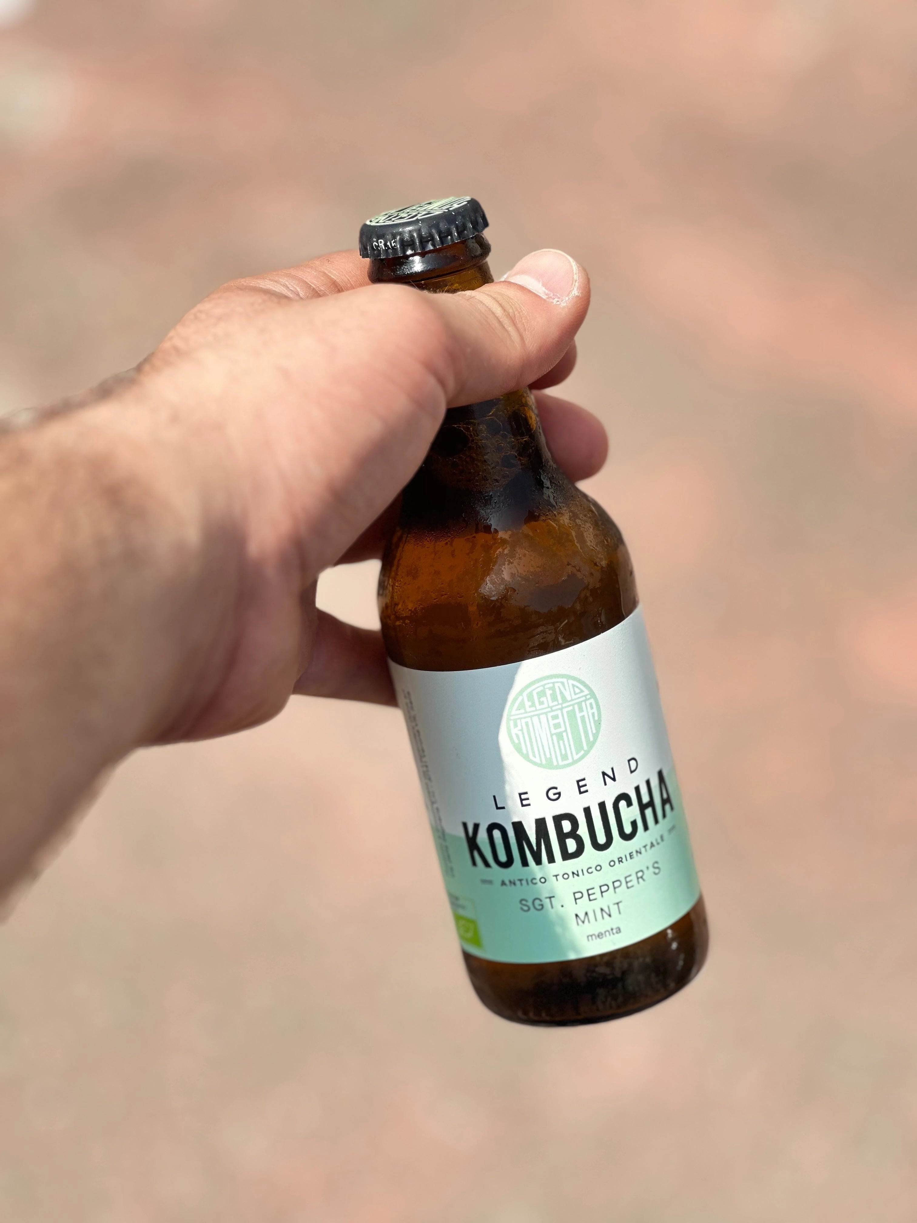 Kombucha - L'enoteca di In Bici Veritas
