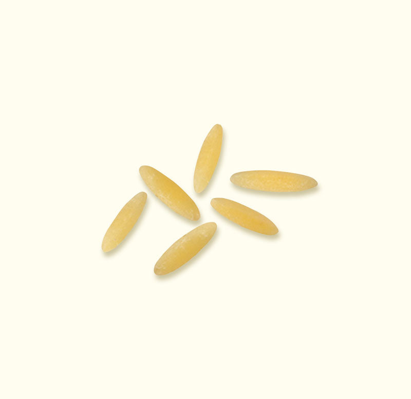 Benedetto Cavalieri - Pasta di Semola di Grano Duro - Semi di Orzo 500g