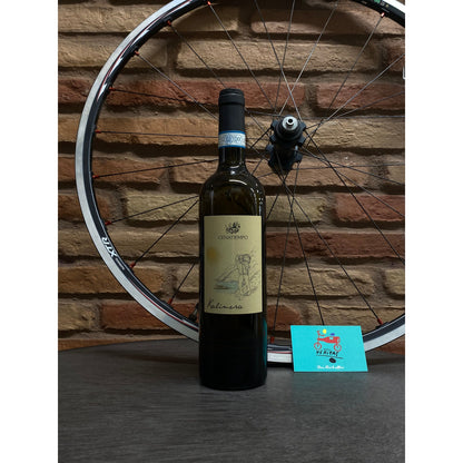 Collestefano - Verdicchio di Matelica 2023