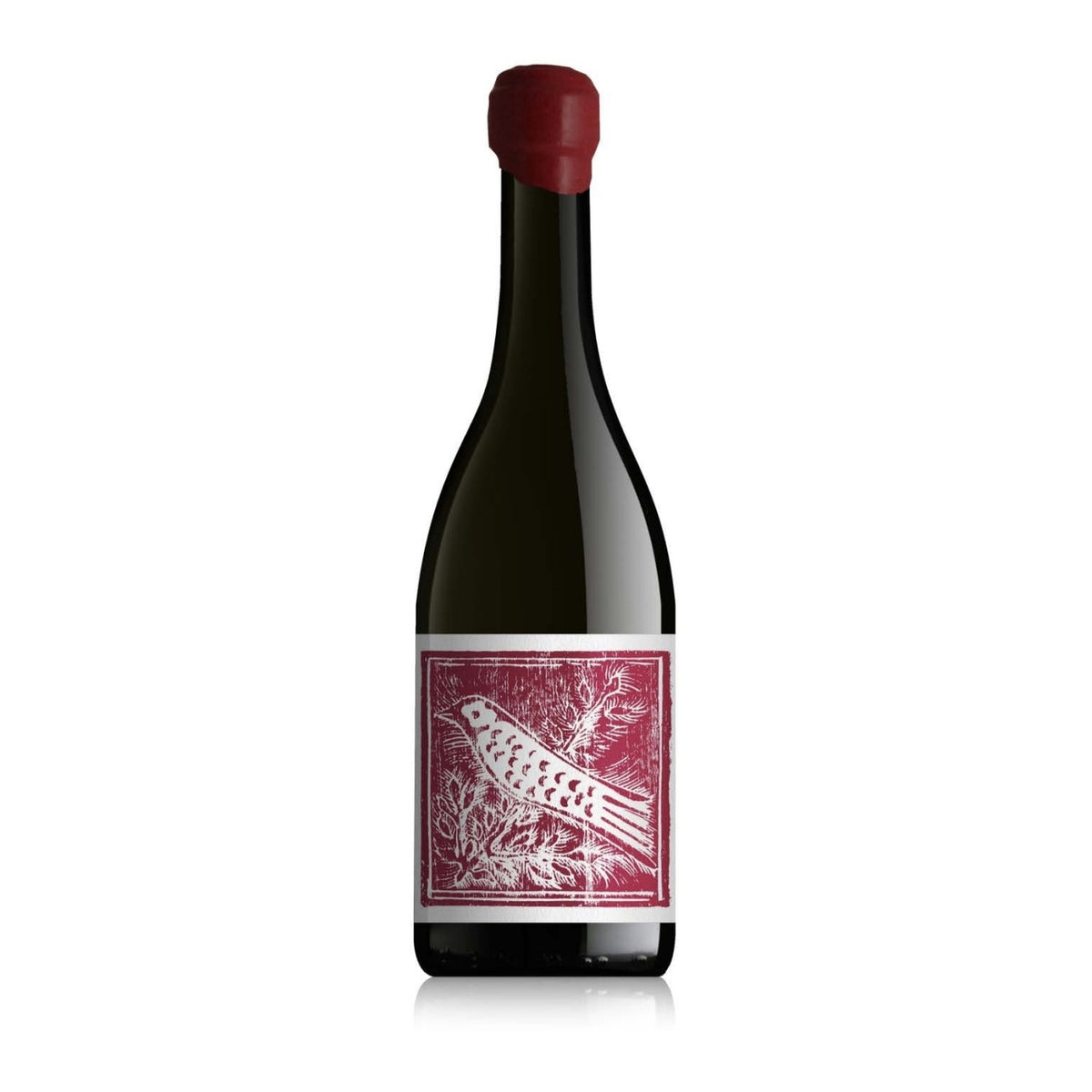 Aliotti – Pinot Nero 2023, Toscana IGT Bio