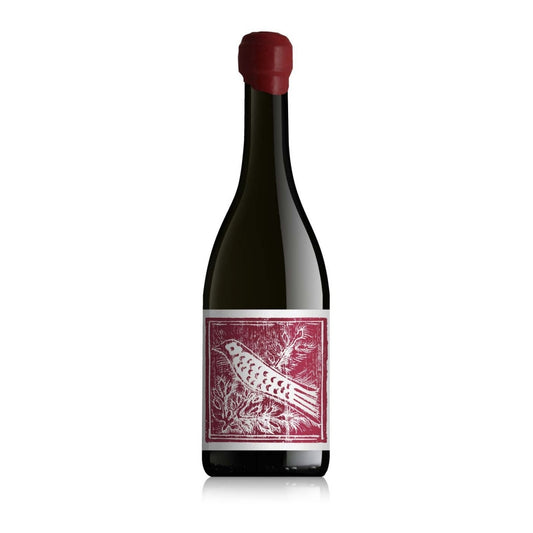 Aliotti – Pinot Nero 2023, Toscana IGT Bio