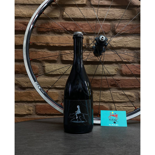 S.A. Terrevive - Bergianti San Vincent Lambrusco IGT 2022