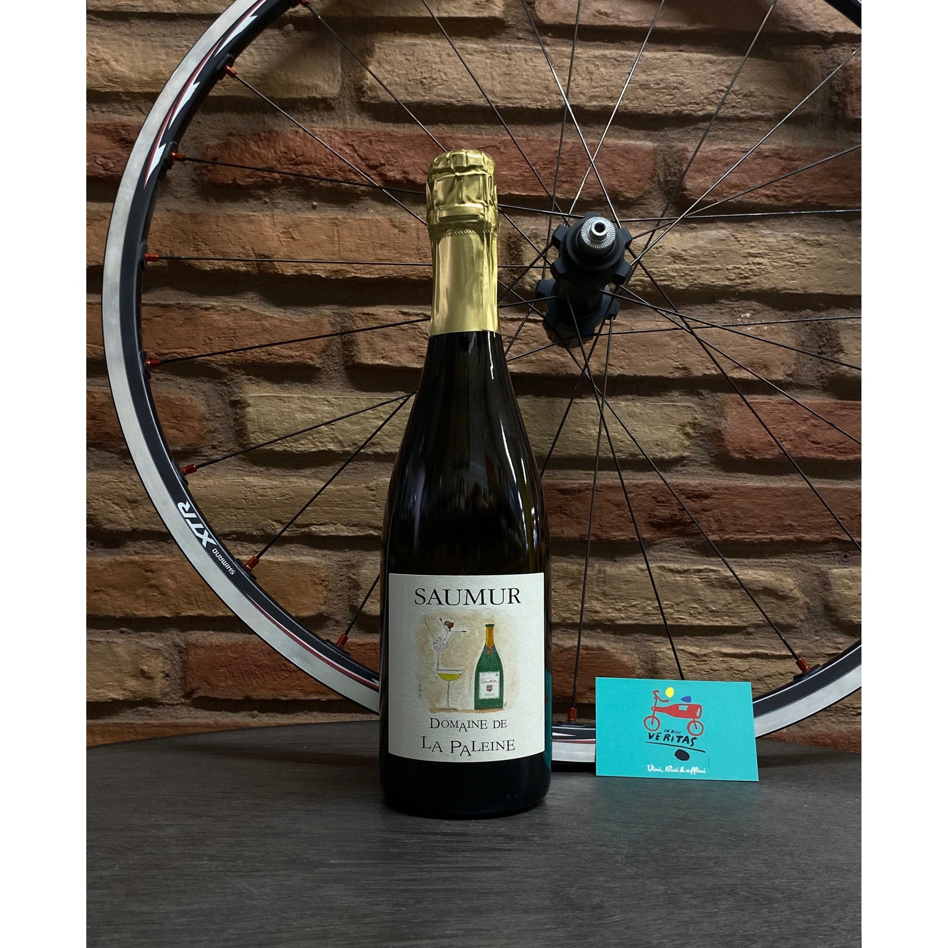 Domaine de la Paleine - Saumur