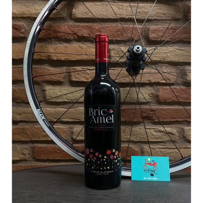 Marchesi di Barolo - Nebbiolo "Bric Amel"