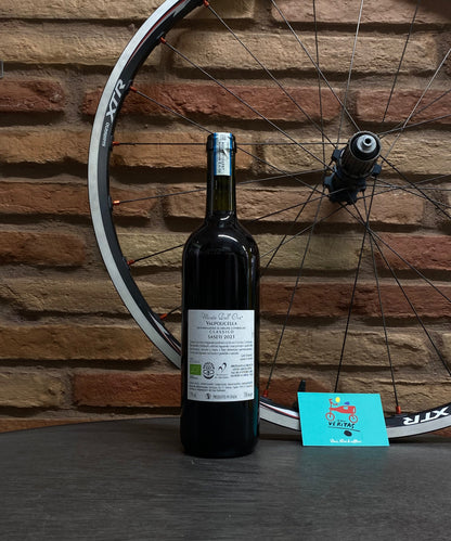 Monte dall’ora - “Saseti” Valpolicella Classico 2024