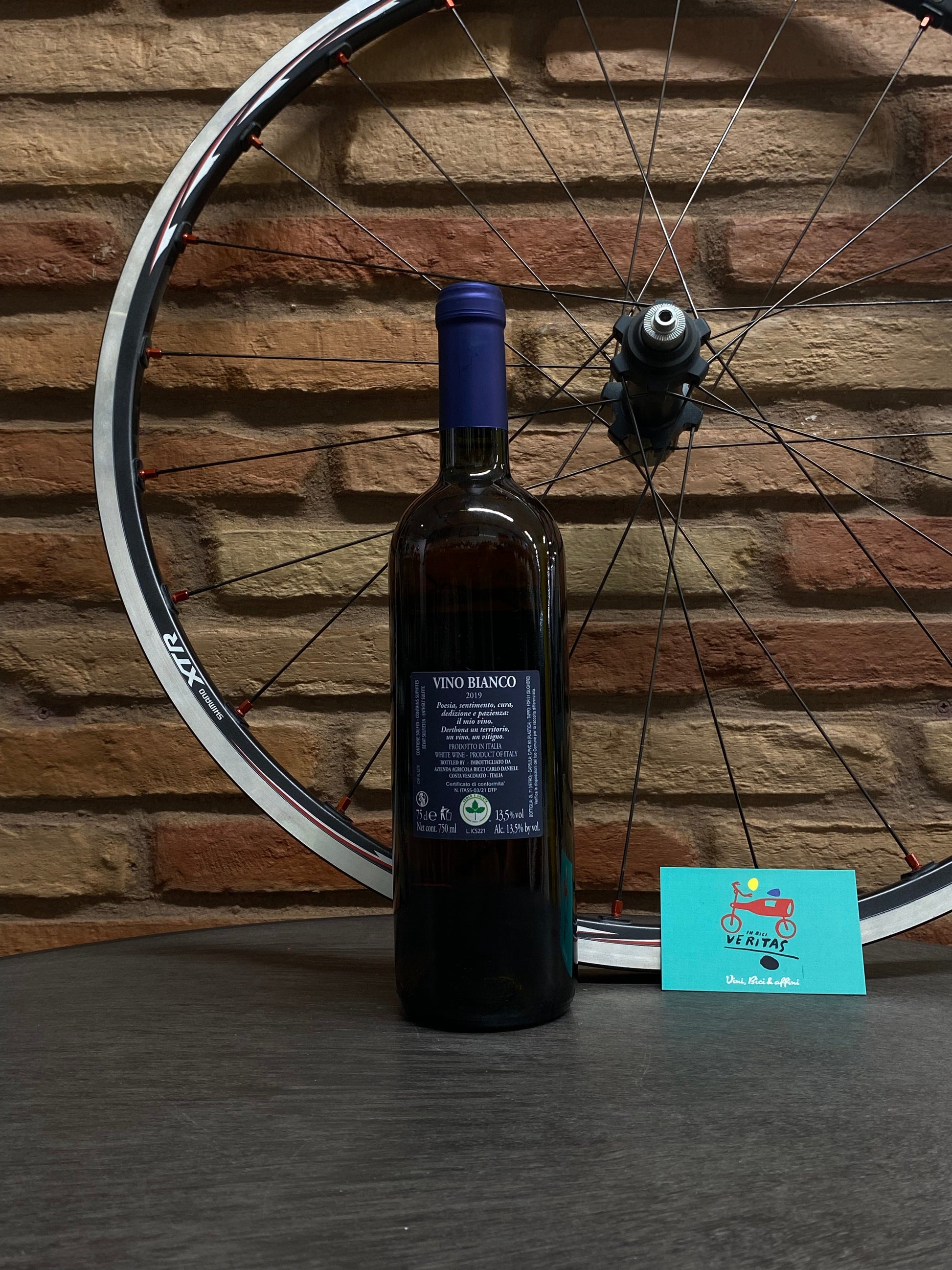 Ricci - "Io Cammino da Solo" 2019