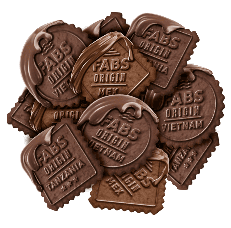 Biscotti - Fabs - Biscotti ricoperti di cioccolato - Scatola da 125 g