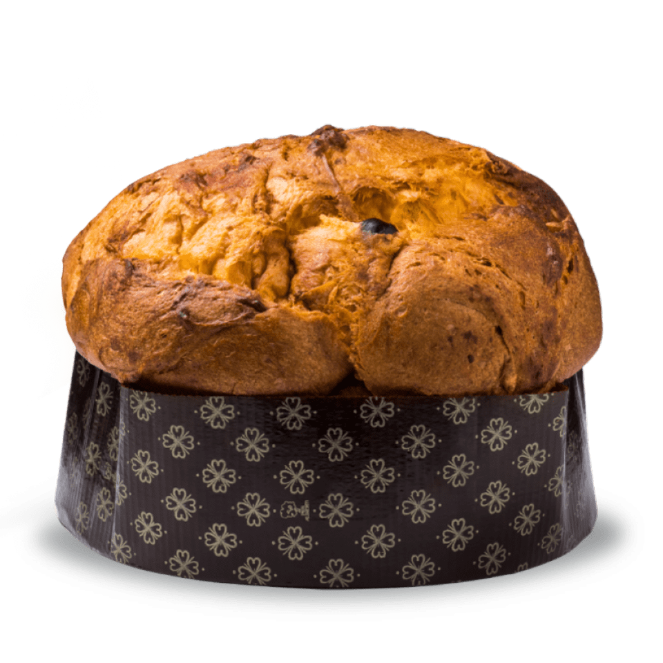 Penna Bakery – Il Panettone Albicocca e Cioccolato 1 kg