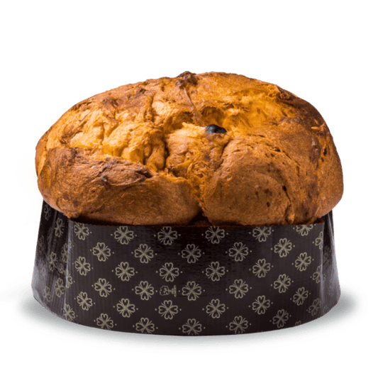 Penna Bakery – Il Panettone Albicocca e Cioccolato 1 kg